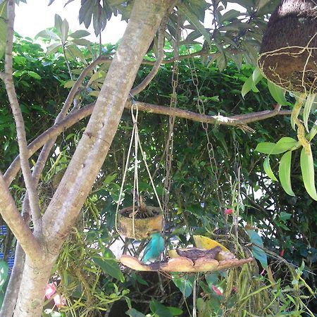 Recanto Marazul Ubatuba Bagian luar foto