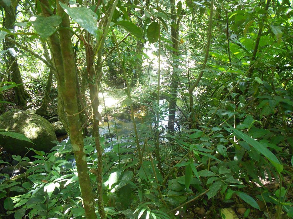 Recanto Marazul Ubatuba Bagian luar foto